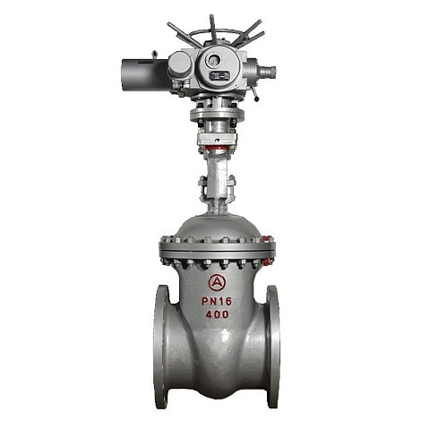 Задвижка стальная 30с941нж DN 600 PN 16 фланцевая под привод тип Г, класс ''А'' L=800мм САЗ АВАНГАРД купить в Новосибирске | "Проконсим"
