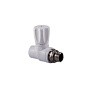 Вентиль для радиатора ПП 20-1/2'' PN 25 прямой с американкой белый РТП 10531 купить в Новосибирске | "Проконсим"