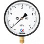 Манометр Росма ТМ-610Р 4,0 МПа /40 ат 150мм G1/2'' купить в Новосибирске | "Проконсим"