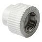Муфта комбинированная ПП 25-3/4'' PN 25 с внутренней резьбой белая Pro Aqua PA22014P купить в Новосибирске | "Проконсим"