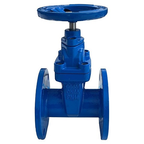 Задвижка чугунная 30ч39р DN 65 PN 10(16) с обрезиненным клином EPDM до 120гр. КНР купить в Новосибирске | "Проконсим" (101469026)
