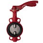 Затвор дисковый поворотный DN 250 PN 16 межфланцевый с диском из чугуна уплотнение-EPDM ручной Рашворк 200