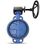 Затвор дисковый поворотный DN 500 PN 16 чугунный с диском из нержавеющей стали межфланцевый редуктор FAF 3500500D купить в Новосибирске | "Проконсим"