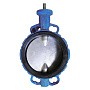 Затворы поворотные дисковые DN 200-800 PN 16 межфланцевые с голым штоком Seagull купить в Новосибирске | "Проконсим"