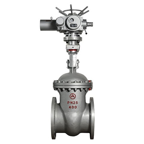Задвижка стальная 30с964нж DN 600 PN 25 фланцевая под привод тип Г, класс ''А'' L=800мм САЗ АВАНГАРД купить в Новосибирске | "Проконсим"