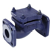 Клапаны обратные 16кч9нж подъёмные DN32-80 PN25 нержавеющая сталь фланцевые до 300гр. ЛУИДОР купить в Новосибирске | "Проконсим"