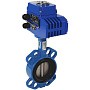 Затворы чугунные дисковые DN 50-800 PN 10(16) межфланцевые с чугунным диском под электропривод СибЗТА купить в Новосибирске | "Проконсим"