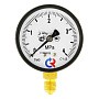 Манометр Росма ТМ-310Р 60 кгс/см2 63мм М12х1,5