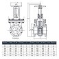 Задвижка чугунная 30ч6бр DN 50 PN 16(10) фланцевая параллельная ЛМЗ Семенов купить в Новосибирске | "Проконсим"