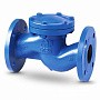 Клапан обратный подъемный фланцевый FAF 2250, DN 15, PN 16 корпус-чугун, диск-нержавеющаясталь, уплотнение-нержавеющая сталь купить в Новосибирске | "Проконсим"